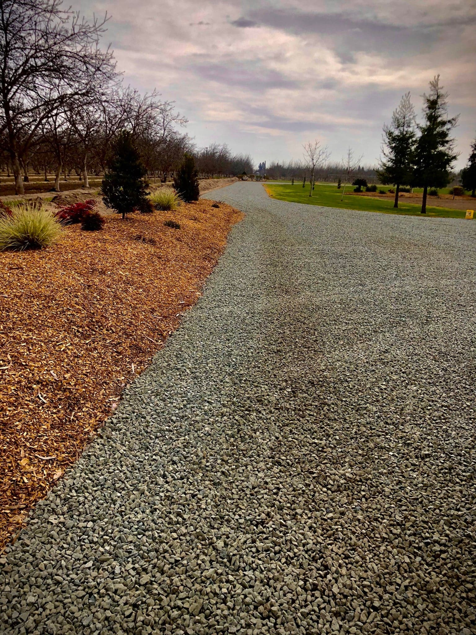 A freshly rocked ranch avenue running alongside a bare almond orchard in the Central Valley