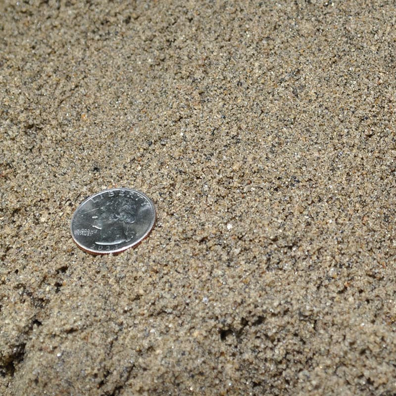 Close-up of Plaster Sand