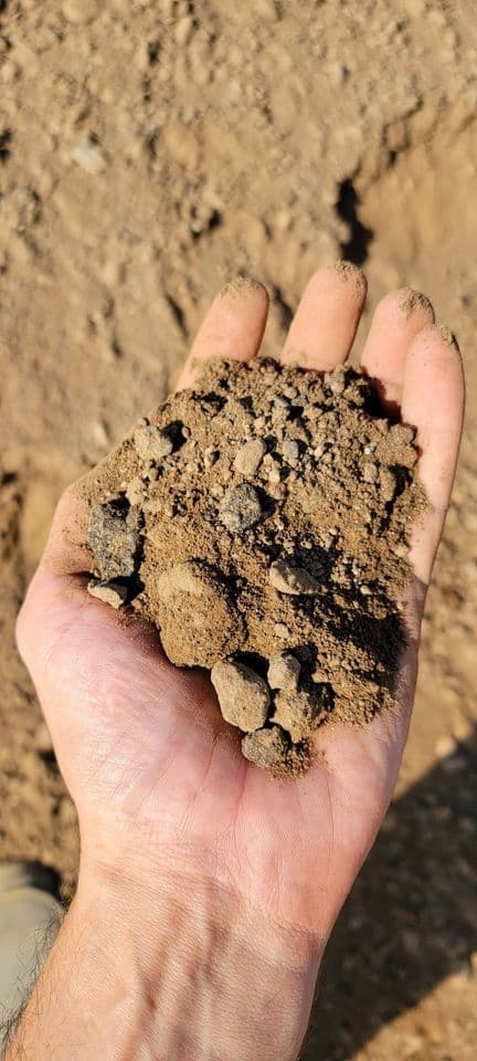 Close-up of Fill Dirt