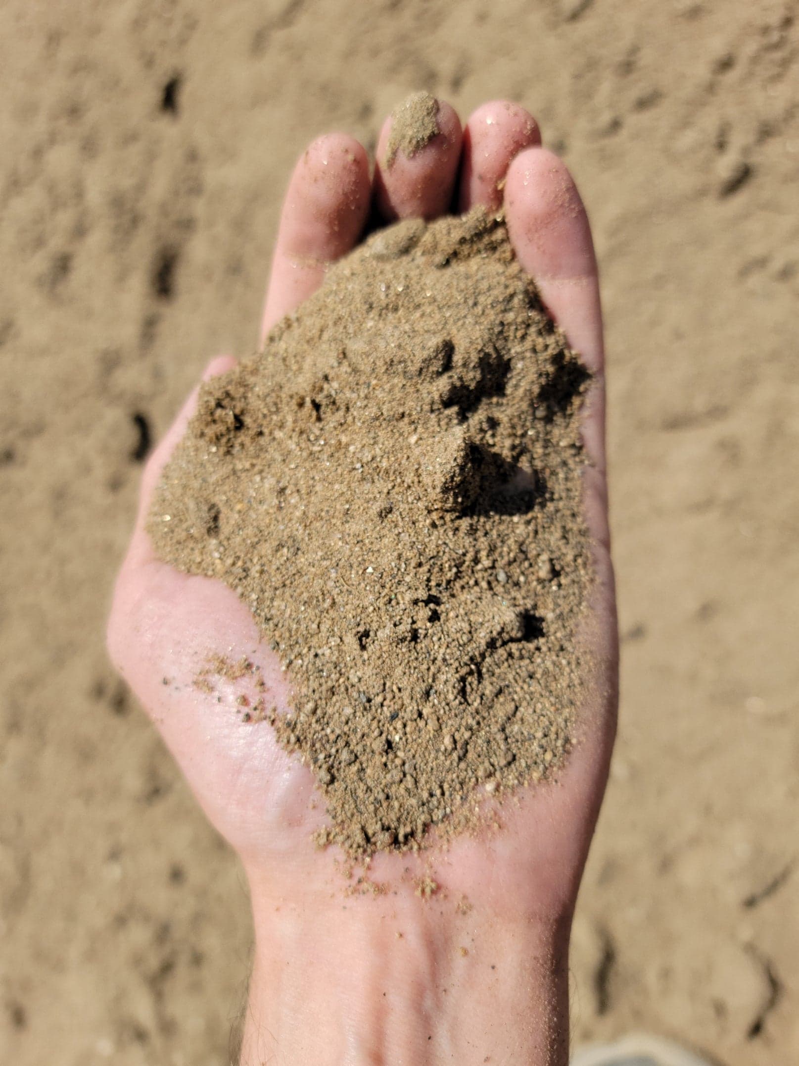 Close-up of Fill Sand